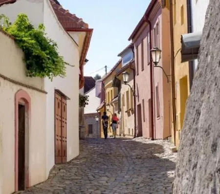Aron Stinna * Třebíč
