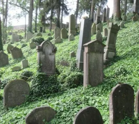 Aron Stinna Třebíč